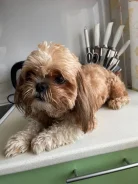 ��-���. ����