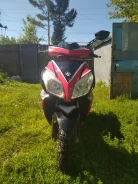 Irbis RZR. 170����. ��., ��������, ��� ���, � �������� ����
