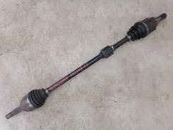 ������ ������ �������� ����