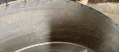 Triangle. ������, ��� �����, 2018 ���, �/�, ����� 80 % ����