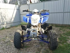 Irbis ATV250S. ��������, ��� ���\���, � �������� ����