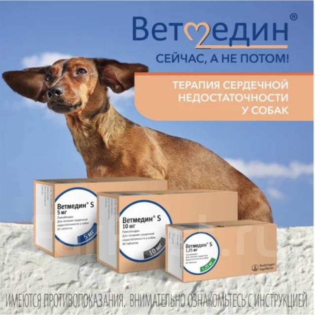 Ветмедин S 1,25мг тб №50 (блистеры), собак, в наличии. Цена: 3 392₽ во ...