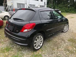 Peugeot 207 ����