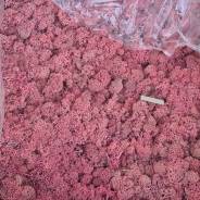 ����� �����������������. ����