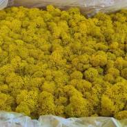 ����� �����������������. ����