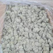 ����� �����������������. ����