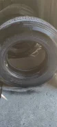 ��� �-462. �����������, 2020 ���, �/�, ����� 50 % ����