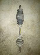 ������ �������� ������ ����