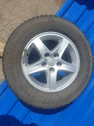 Yokoma. ������, ����������, �/�, ����� 10�% ����
