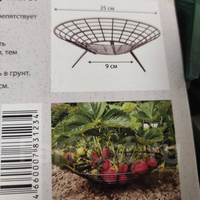 Подставки для клубники, новый, в наличии. Цена: 200₽ в Находке