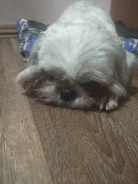 ��-���. ����
