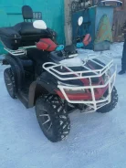 Yamaha Grizzly 250. ��������, ��� ���\���, � �������� ����