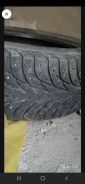 Continental Contact. ������, ����������, 2012 ���, �/�, ����� 50 %. ��������� ����