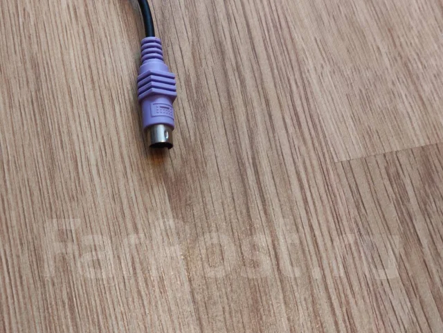 ����������. ����