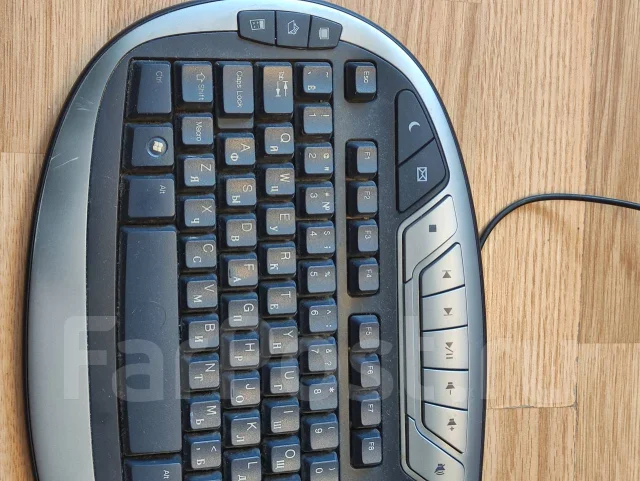 ����������. ����
