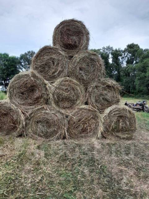 Сено в рулонах фото