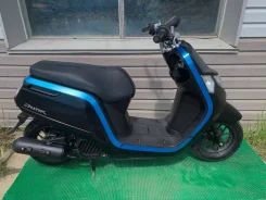 Honda Dunk. 49����. ��., ��������, ��� ���, ��� ������� ����