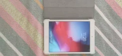 Apple iPad Mini 2 ����
