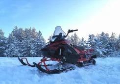 Irbis SF 200L. ��������, ���� ���, ��� �������. ��� ����� �� �������� ����