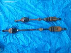 ������ �������� ����