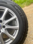 Profil Wintermaxx. ������, ��� �����, 2020 ���, ����� ����