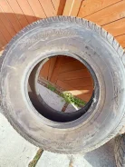 Toyo Tranpath S/U Sport. ������, �/�, ����� 20�% ����
