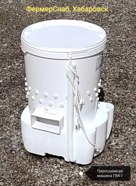 ����������� ������������. ����