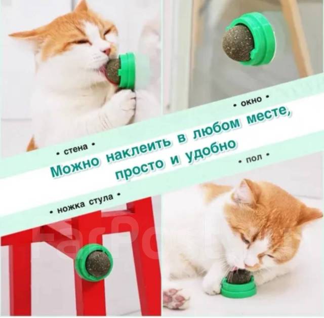 Игрушки для кошек своими руками — Purina ONE®