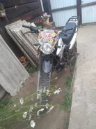 Racer Panther Lite RC250GY-C2A. 250����. ��., ��������, ���, � �������� ����