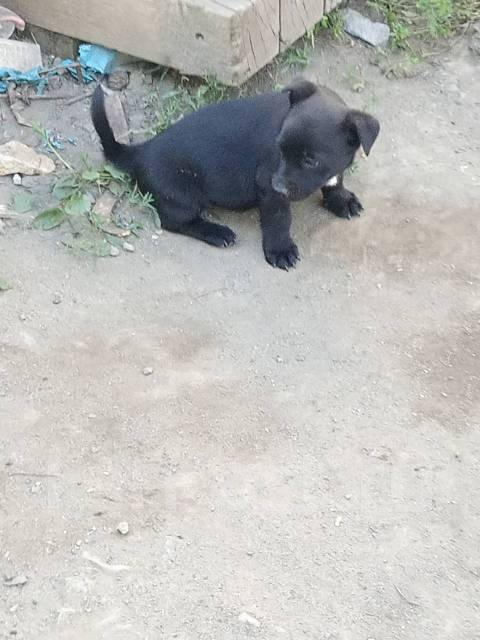 ������ ������� ����