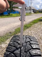 WolfTyres Nord. ������, ����������, �/�, ����� 5 % ����