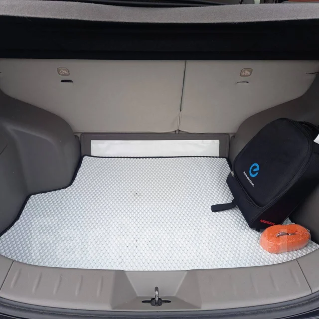 Nissan Leaf ����