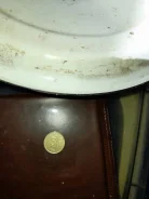 5 ����� 2016 ��� ������ ����