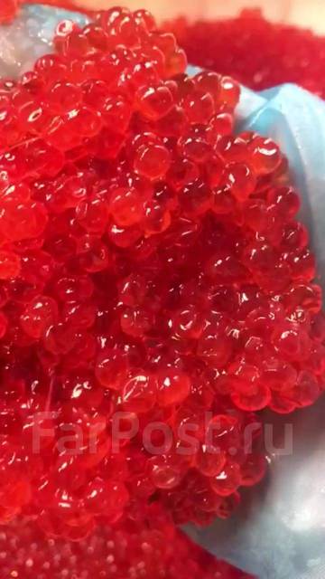 Куплю икру - Рыба и морепродукты в Хабаровске