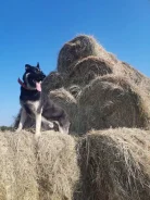������. ����