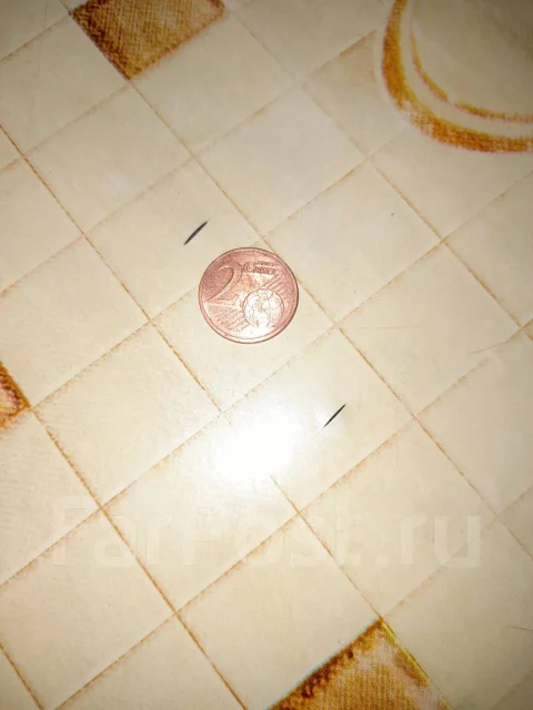 2 ���� ���� 2008 ��� ������� ����
