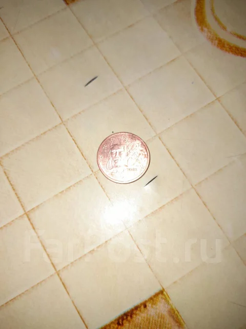 2 ���� ���� 2008 ��� ������� ����