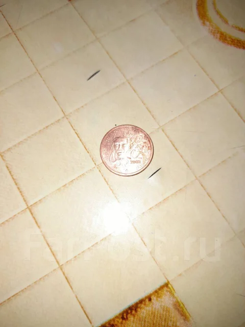 2 ���� ���� 2008 ��� ������� ����