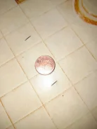 1 ���� ���� 2010 ��� ������� ����
