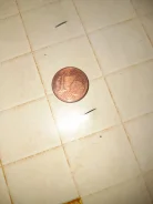 1 ���� ���� 2011 ��� ������� ����