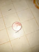 1 ���� ���� 2008 ��� ������� ����