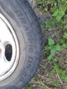 Dunlop Graspic DS-V. ������, ��� �����, �/�, ����� 60 % ����