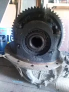 ������ �������� ����