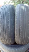 Sprut. �����������, 2014 ���, �/�, ����� 80 % ����