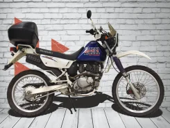 Suzuki Djebel 200. 200����. ��., ��������, ���������, ��� ������� ����