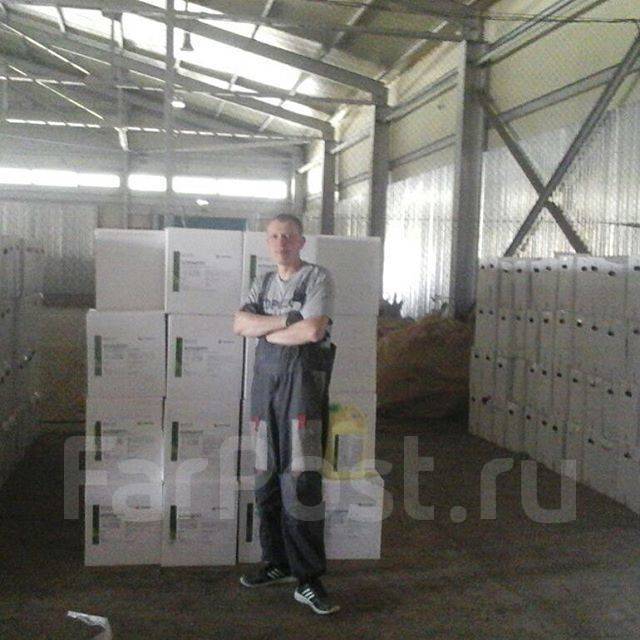 Трезвые грузчики. Грузоперевозки, переезды, доставка. Дешево, с ...