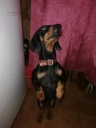 �����. ����