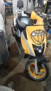 Irbis. 50����. ��., ��������, ��� ���, � �������� ����