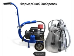 �������� ������������. ����