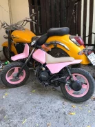 Yamaha PW50. ��������, ���, � �������� ����
